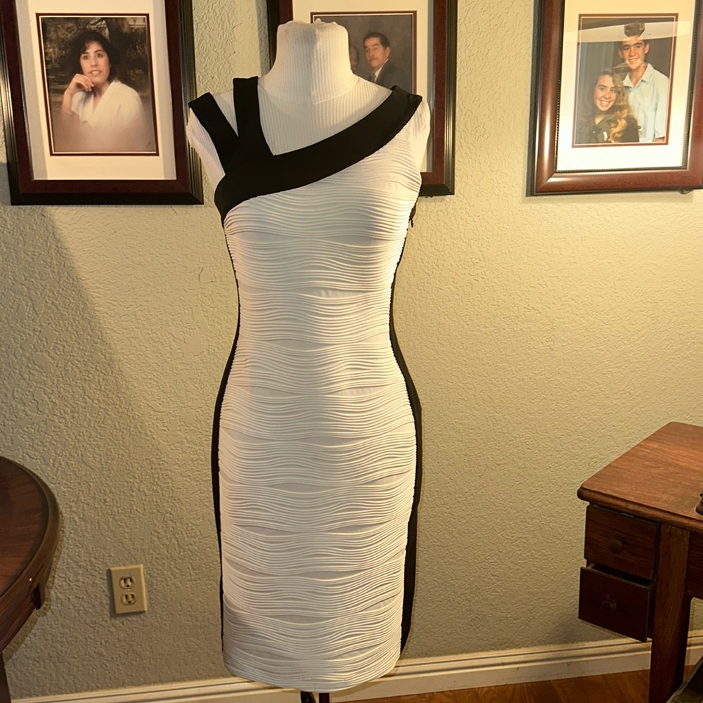 Elegant Black and White Women's Dress